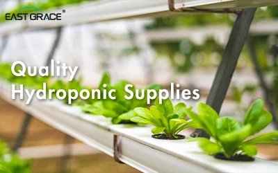 Why Indoor Vertical Farming?