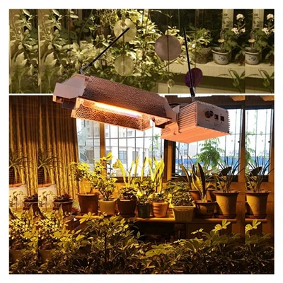 LED Plant Lights Can Generate Greater Benefits Than HPS Lights, Mainly Reflec...