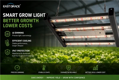 Plant Lighting Trends For May: AI Dimming And Efficient Heat Dissipation Take...