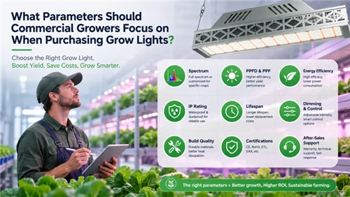 Commercial LED Grow Light Parameters | Complete Buying Guide For Growers