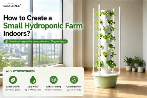 How To Build A Small Indoor Hydroponic Farm？