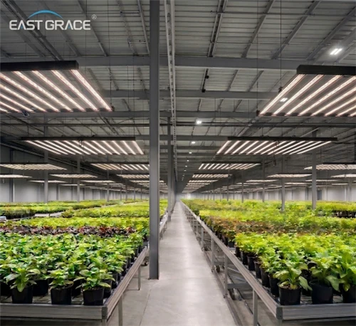 LED Grow Light Buying Guide For Commercial Growers