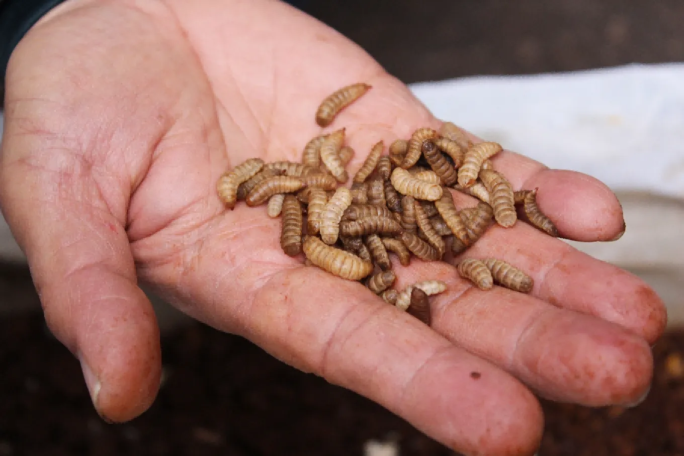 11221567-d002-4404-8a56-2f4985cf32241 11221567-d002-4404-8a56-2f4985cf32241