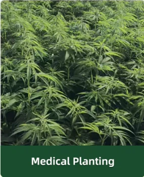 product-285-350 product-285-350