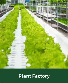 product-283-347 product-283-347