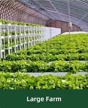 product-283-348 product-283-348