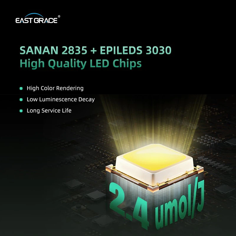 product-800-800