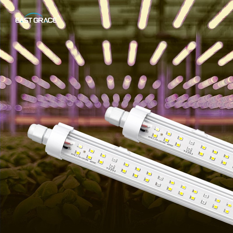 product-800-800