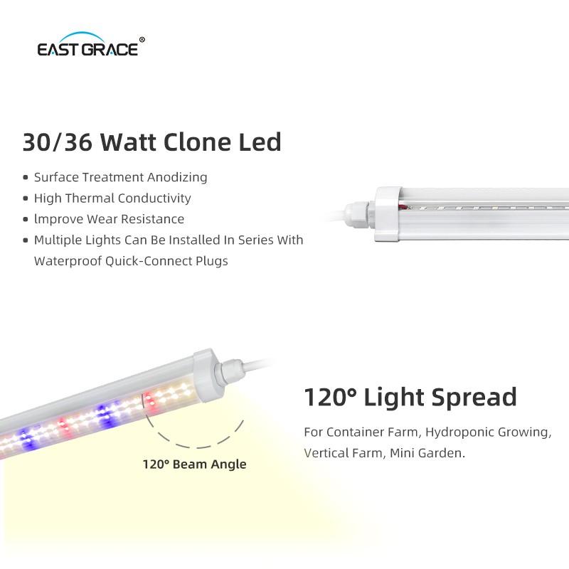 product-800-800