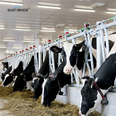 1.5M LED Dairy Light Fixture