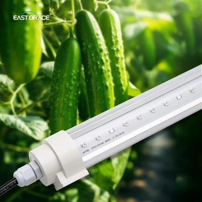 Commercial Interlighting Plant LED Grow Light For Indoor Plants