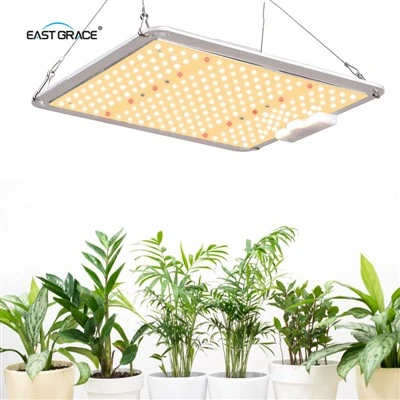 Customizable LED Grow Light Board