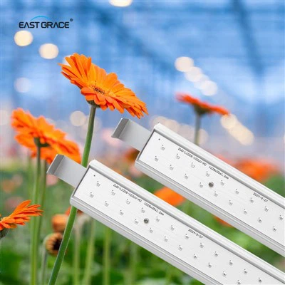 Flicker Free Add-In LED Grow Light Bar Module