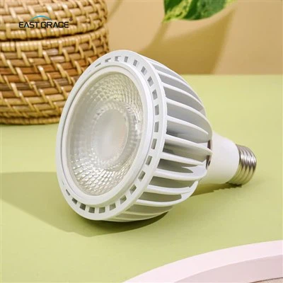 High PAR LED Grow Lights