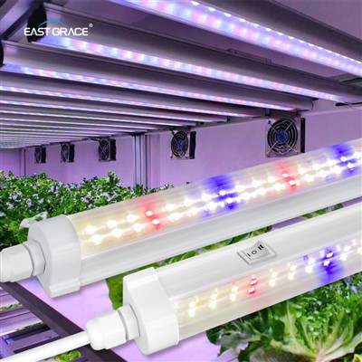 T8 Waterproof Clone Light